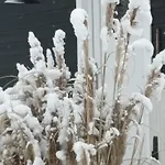 Nr. 492 Sonnenhaus *