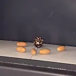 Nr. 492 Sonnenhaus Zerpenschleuse