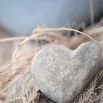 Nr. 492 Sonnenhaus Casa de Férias Zerpenschleuse