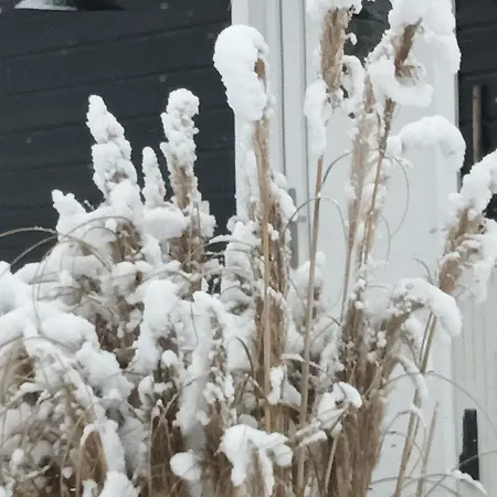 Nr. 492 Sonnenhaus *