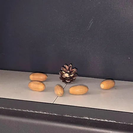 Nr. 492 Sonnenhaus Zerpenschleuse