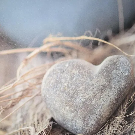 Nr. 492 Sonnenhaus 펜션 Zerpenschleuse