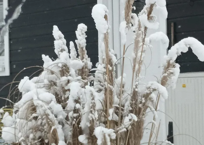 Nr. 492 Sonnenhaus *