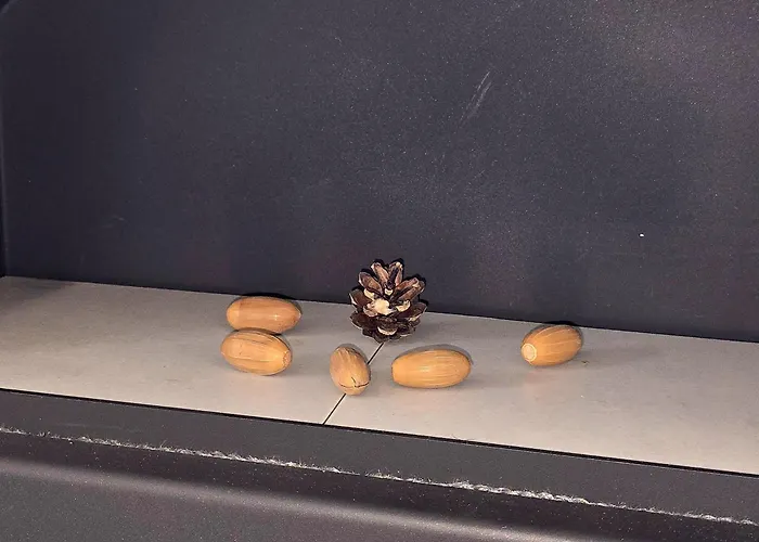 Nr. 492 Sonnenhaus Zerpenschleuse