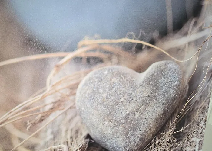 Nr. 492 Sonnenhaus Tatil Evi Zerpenschleuse